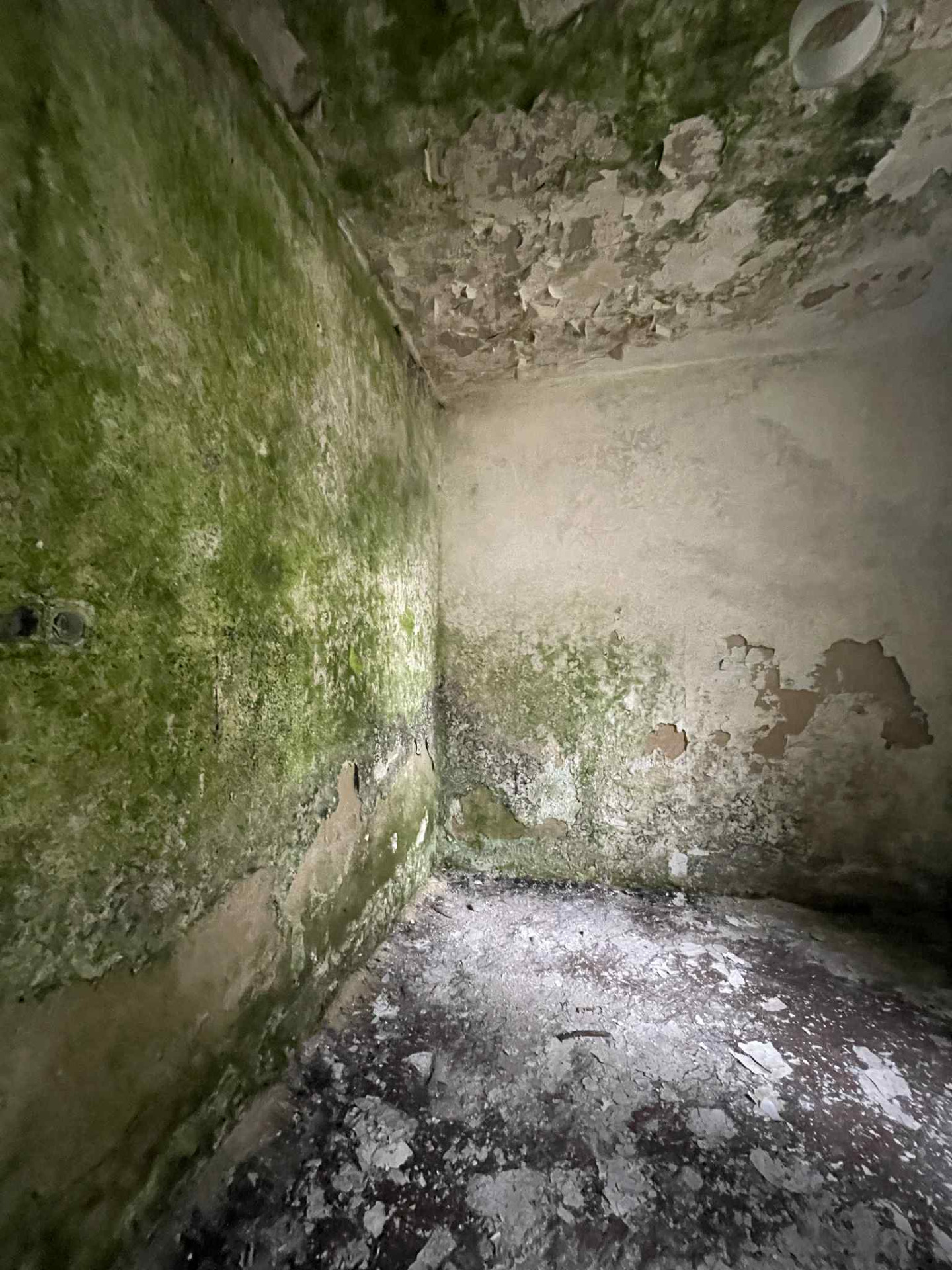 Penészedés és málló vakolat jelei egy lakóépület falán ingatlanvásárlás előtt - Egyed Studio